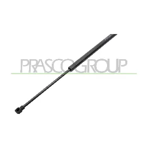 VG4009055 PRASCO