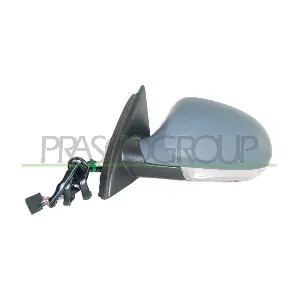VG0547324P PRASCO