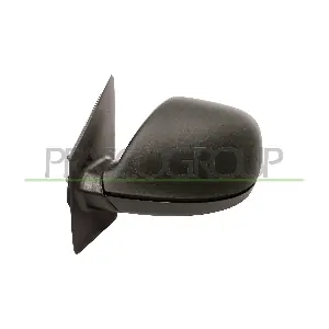 VG9197334 PRASCO