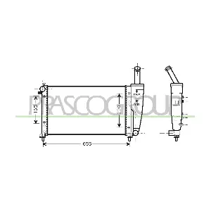 FT133R006 PRASCO