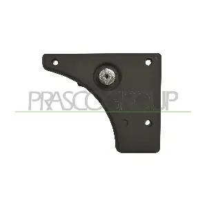FT9308312 PRASCO
