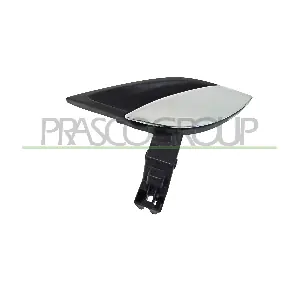 FT5208602 PRASCO