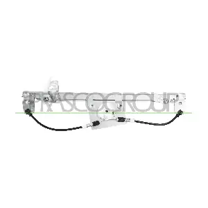 FT138W024 PRASCO