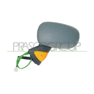 RN3087324P PRASCO