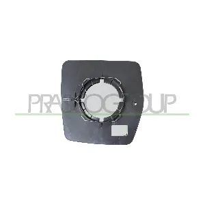 FT9217514 PRASCO