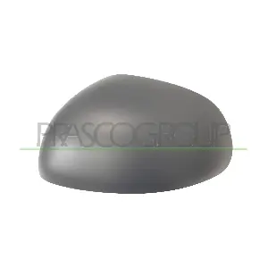 FT0407414P PRASCO