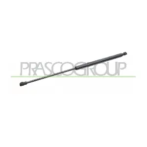 LA0019055 PRASCO