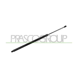 VG9179055 PRASCO