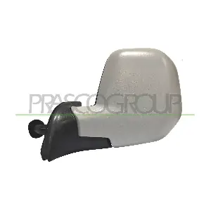 CI9187124 PRASCO