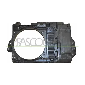 PG0613210 PRASCO
