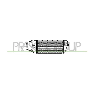 FT030N004 PRASCO