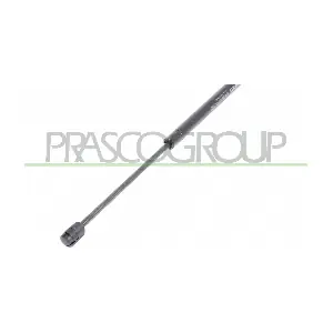 VG0369055 PRASCO