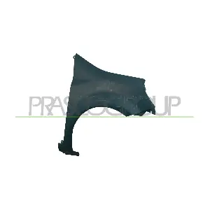 RN3083003 PRASCO