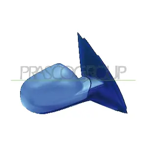VG3207313 PRASCO