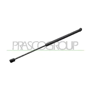 VG0409055 PRASCO