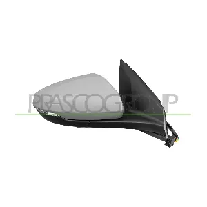 VG0257333 PRASCO