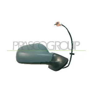 PG0617323 PRASCO
