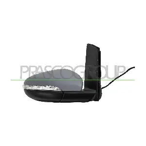 VG7197313 PRASCO