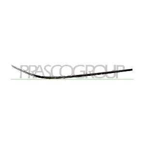 BM1001247 PRASCO
