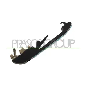 VG0288002 PRASCO