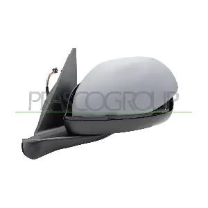 FT0407304 PRASCO