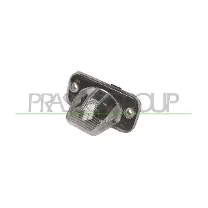 VG9134350 PRASCO