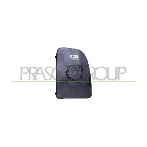 FT9307504 PRASCO
