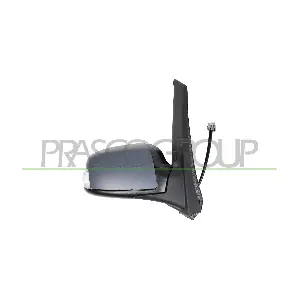 FD7157333P PRASCO