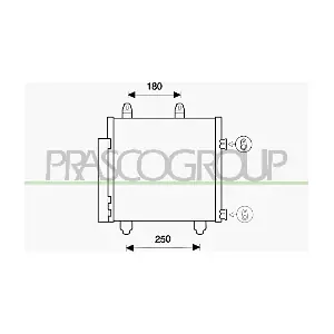 CI206C001 PRASCO