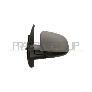 RN9217314 PRASCO