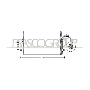 VV220C004 PRASCO