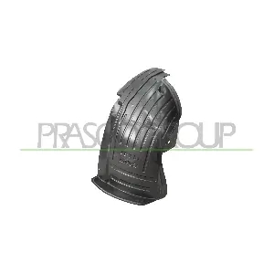 RN9323603 PRASCO