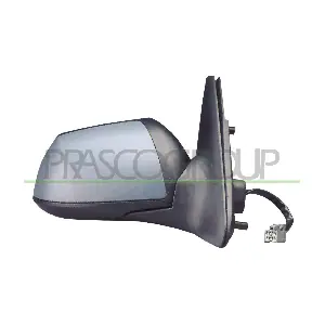 FD1077313 PRASCO