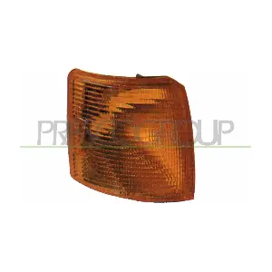 VG9134103 PRASCO