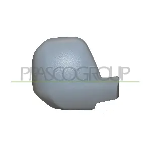 CI9187413 PRASCO