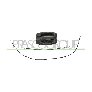 PRASCO FT9308141