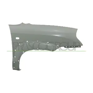 HN8023013 PRASCO