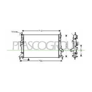 PRASCO FD424R005