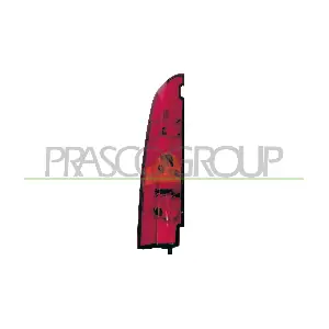 RN9174164 PRASCO