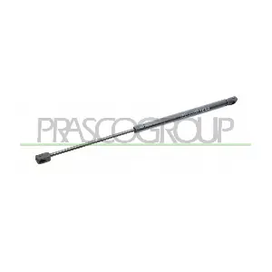 RN0239055 PRASCO