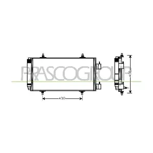 CI941C001 PRASCO