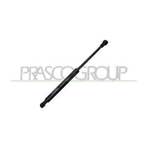 AA0909055 PRASCO