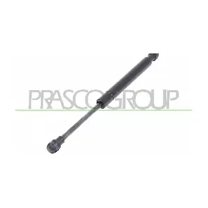 AA0809055 PRASCO