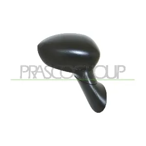 FT0307213P PRASCO