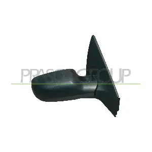 RN4207313P PRASCO