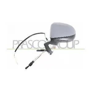 RN3107044 PRASCO