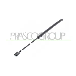 FT4209055 PRASCO