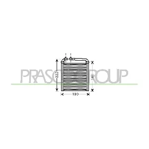VG036H002 PRASCO