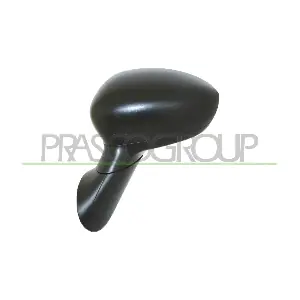 FT0307204P PRASCO