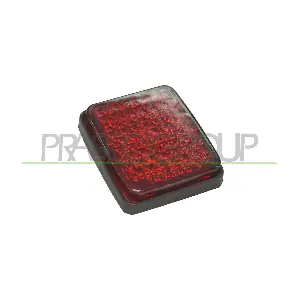FT9094455 PRASCO